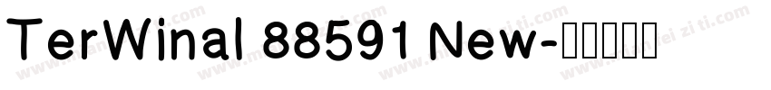 TerWinal 88591 New字体转换